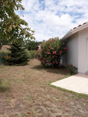 Villa ocean et foret